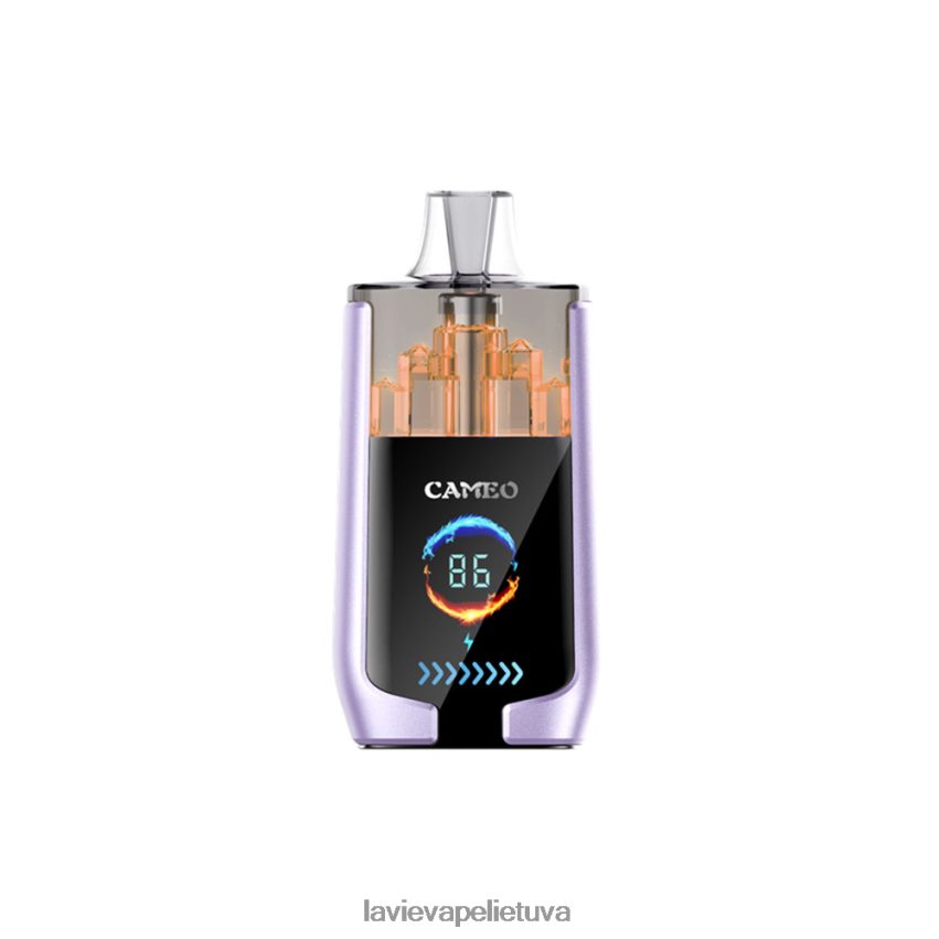 N226RV16 Lavie Vape Kaina | vynuogių ledas LAVIE CAMEO 30 000 įkvėpimų